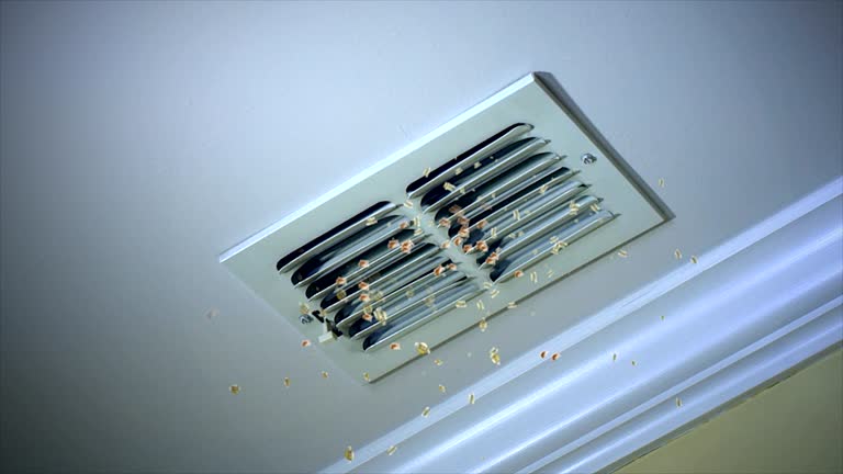 Best HVAC System Cleaning  in Suamico, WI
